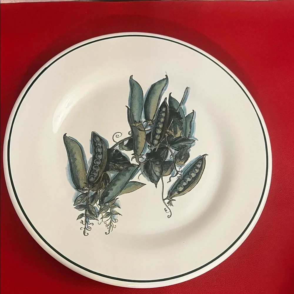Williams Sonoma HARVEST Salad Plate Peas GREAT CONDITION set of 2 8.5”D